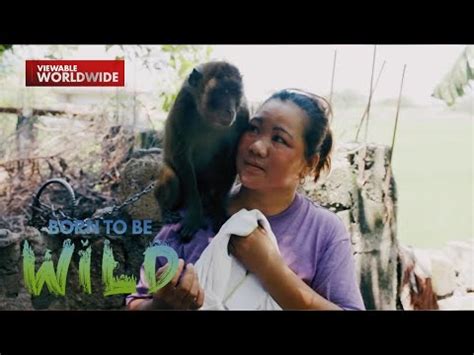 nagpakantot sa alagang aso|Born to Be Wild .